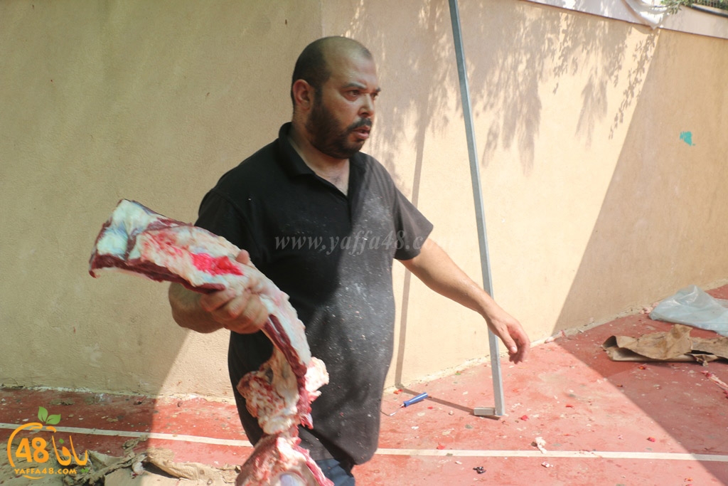 ada7y forthei (124).JPG